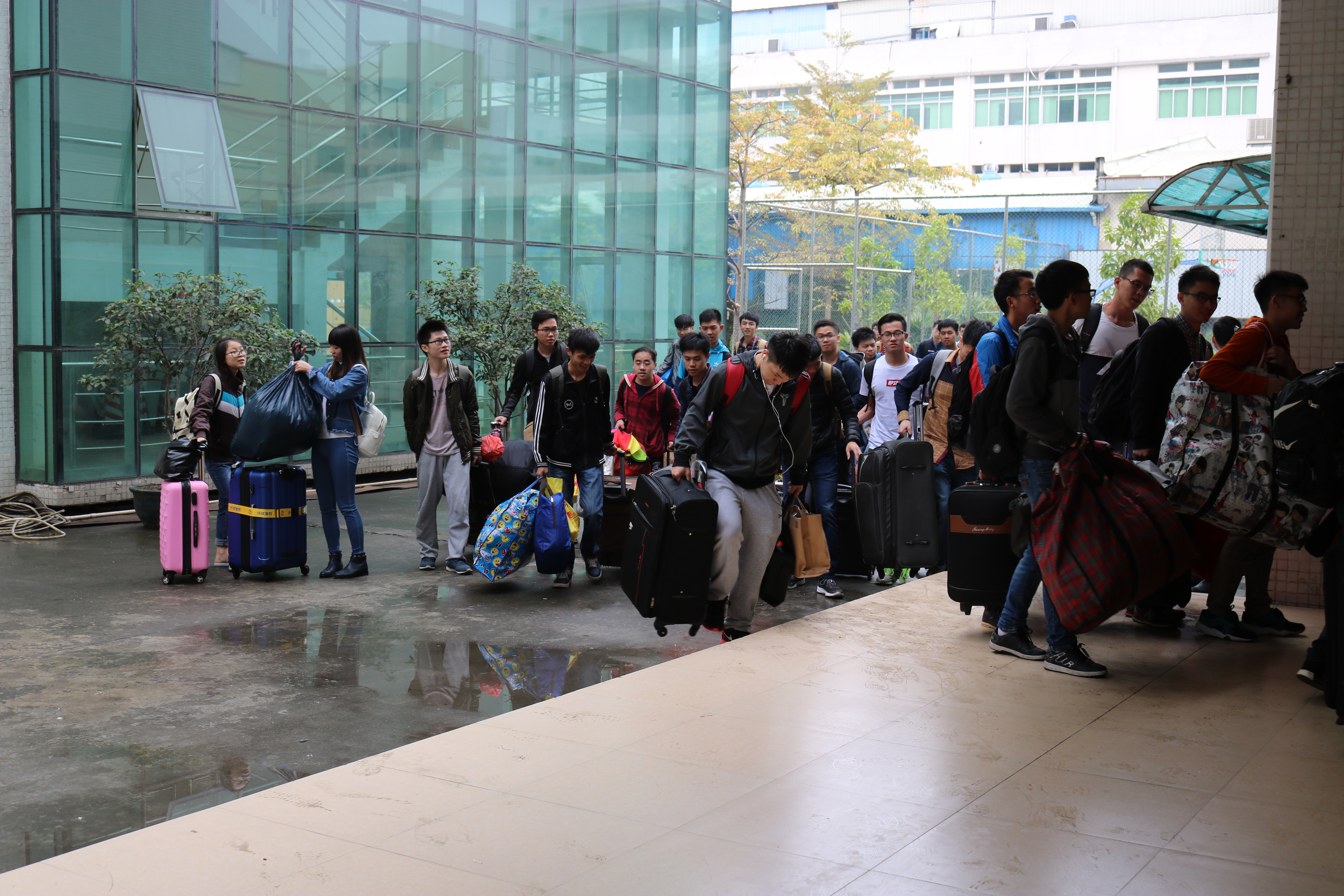 员工们有序报道